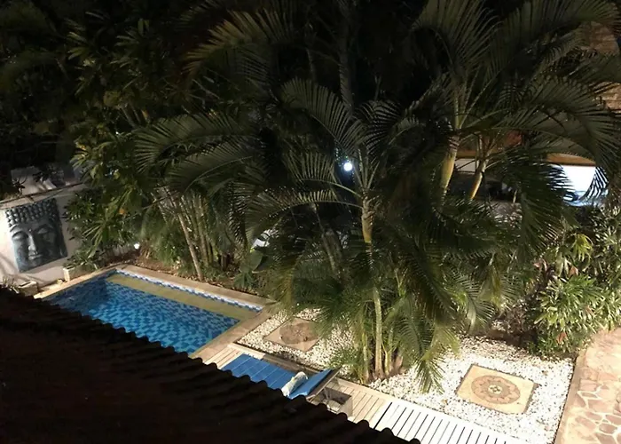 Tropical House - Garlic Lane
